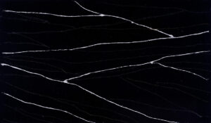 Black Canyon quartz countertop color