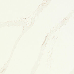 Calacatta Alabaster quartz countertop color