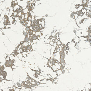 Arctic Arabescato quartz countertop color