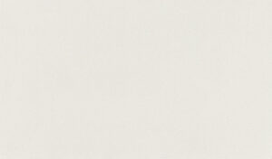 White Ice quartz countertop color
