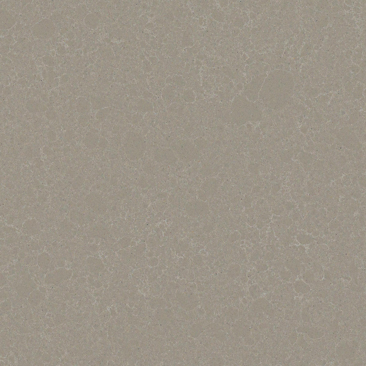 Cabrini Grey