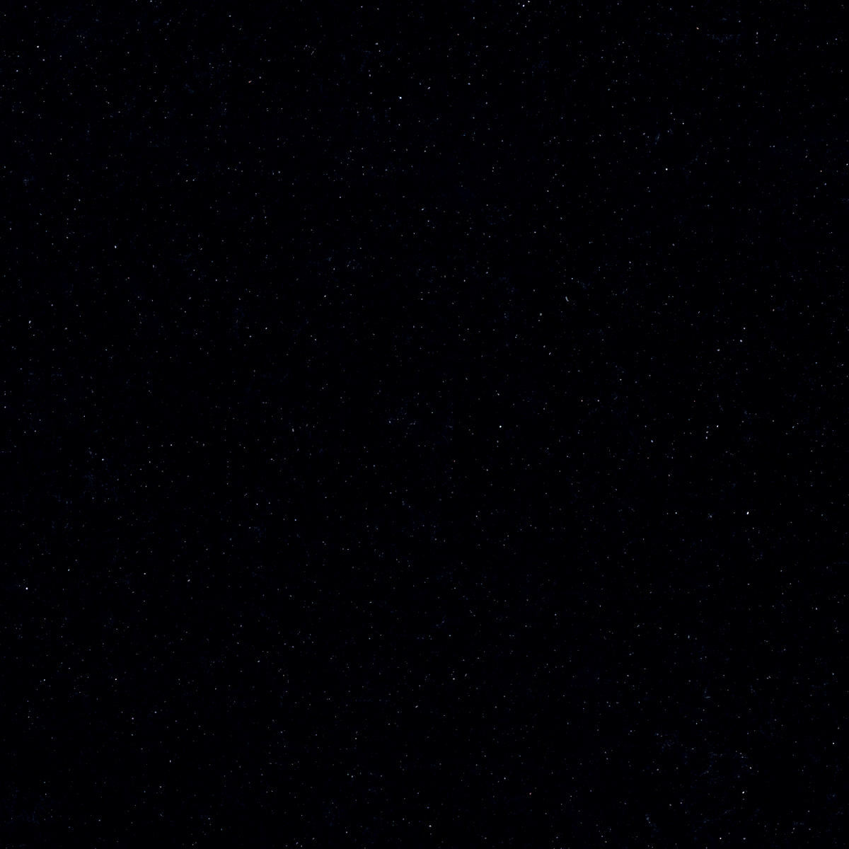 Acadia Black