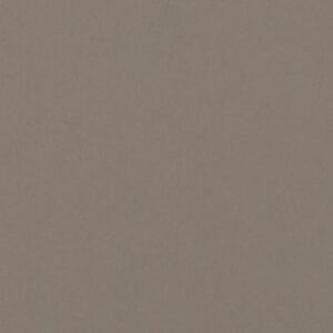 Agger Grey quartz countertop color