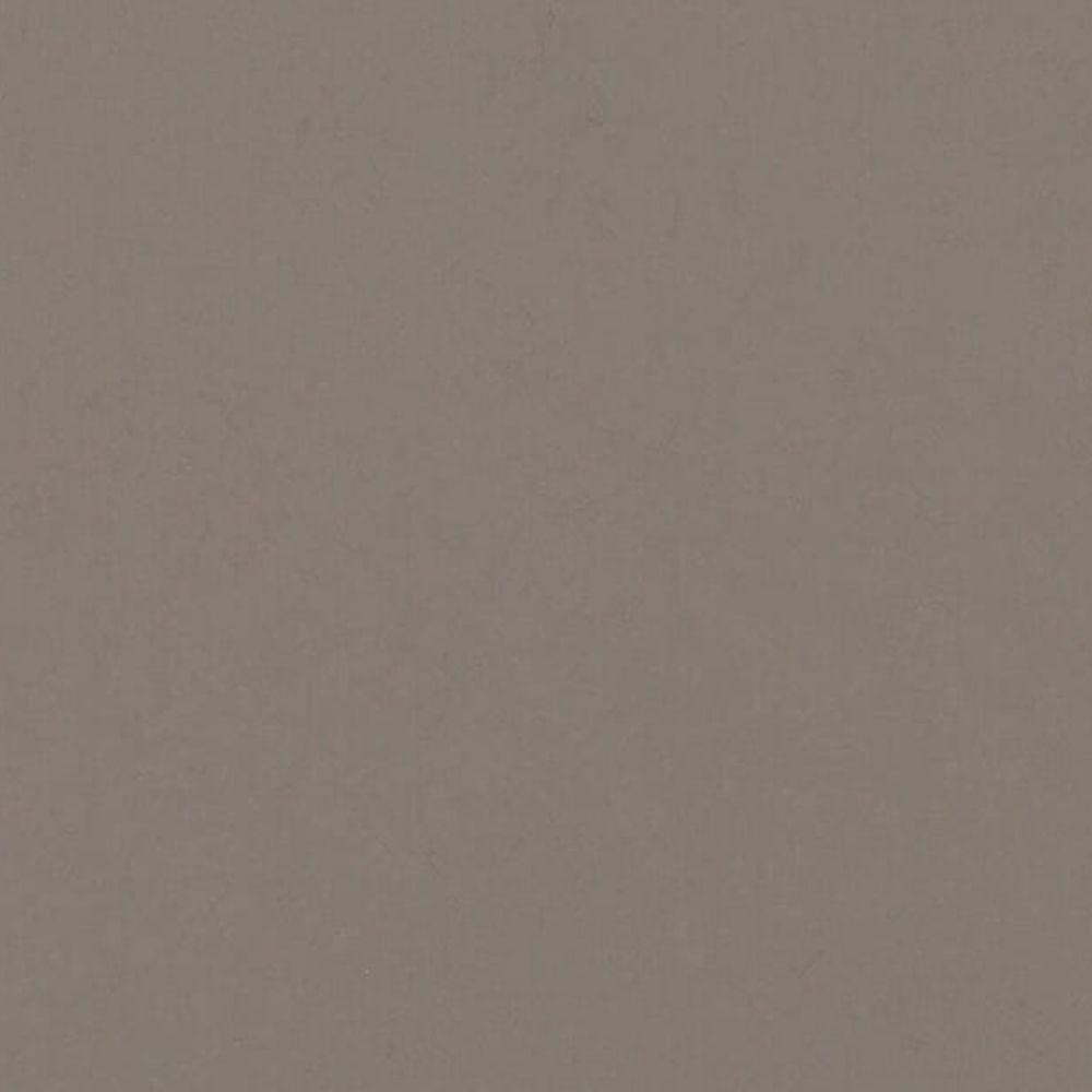 Agger Grey caesarstone