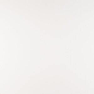 Arctic White Quartz quartz countertop color