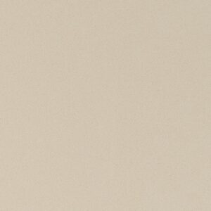 Ash Gray quartz countertop color