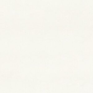 Blizzard quartz countertop color
