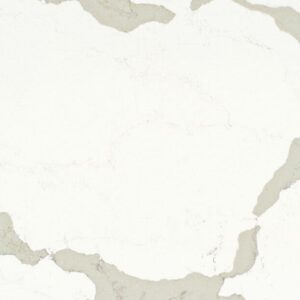 Calacatta Maximus quartz countertop color