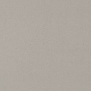Clearskies quartz countertop color