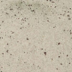 Colonial White granite countertop color