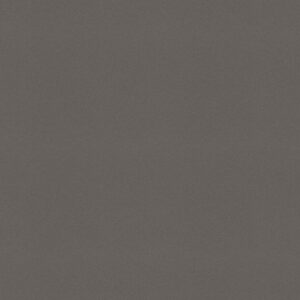 Concrete Gray quartz countertop color