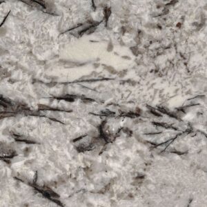 Delicatus White granite countertop color