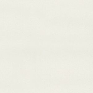 Eggshell quartz countertop color