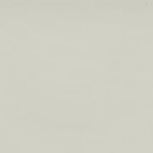 Faro White quartz countertop color