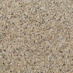 Ferro Gold granite countertop color