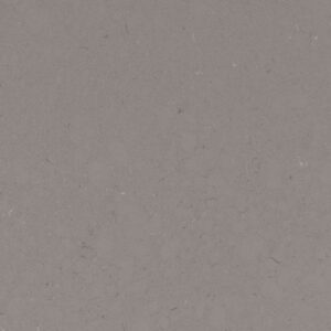 Fossil Gray Polished Fossil Gray Polished