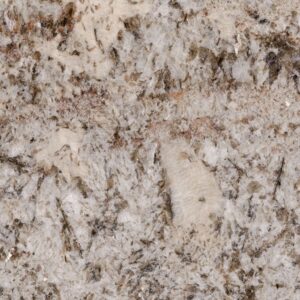 Ganache granite countertop color