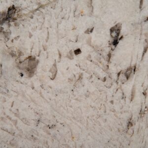 Gray Nuevo granite countertop color