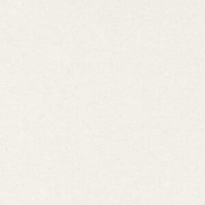Organic White quartz countertop color