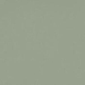 Posidonia Green quartz countertop color