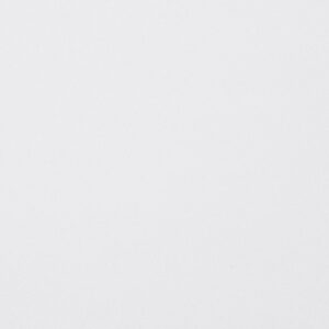 Premium Plus White quartz countertop color