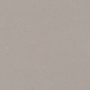 Raw Concrete quartz countertop color