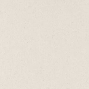 Riverlet quartz countertop color