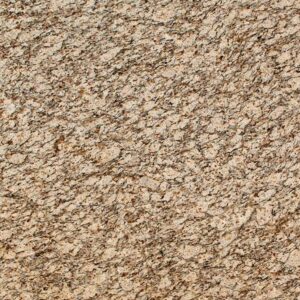 Santa Cecelia granite countertop color