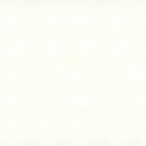 Vivid White quartz countertop color