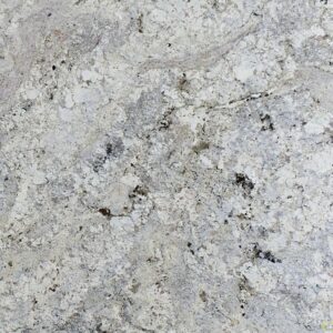 White Paradise granite countertop color