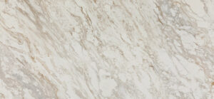 Dolcivio quartz countertop color