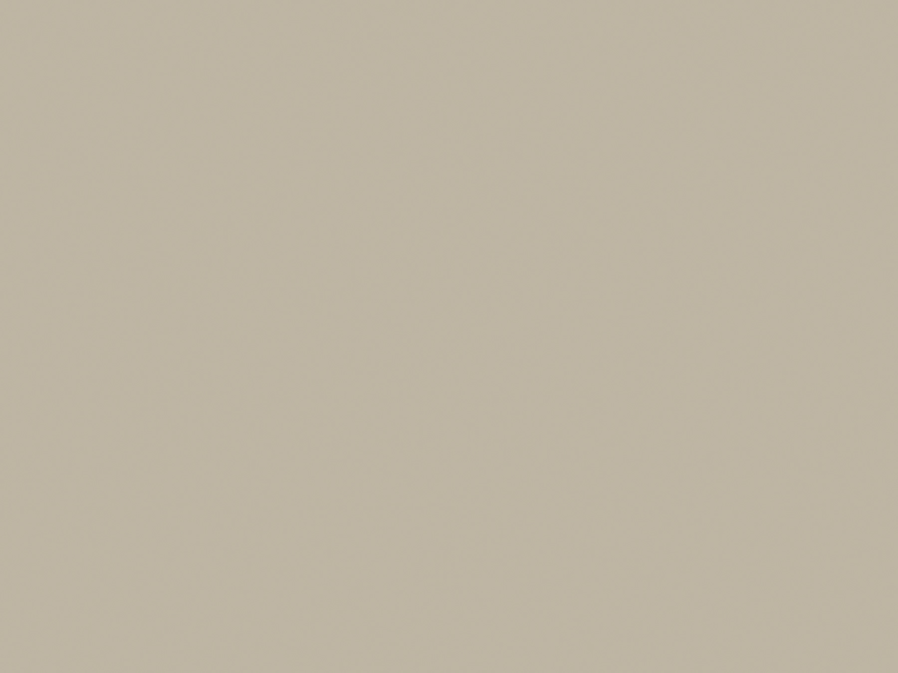 Elegant Gray