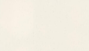 Carrara Pisa quartz countertop color