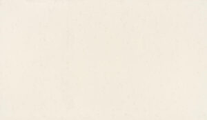 Carrara Roma quartz countertop color