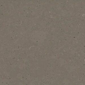 Brass Relish quartz countertop color