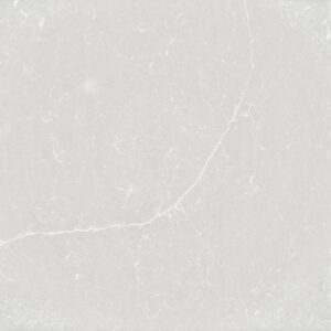 Desert Silver quartz countertop color