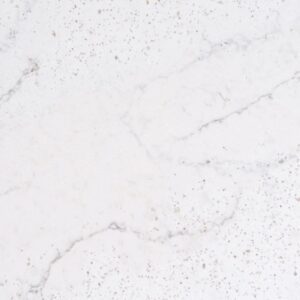 Eclectic Pearl quartz countertop color