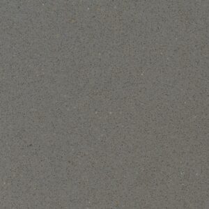 Gris Expo quartz countertop color