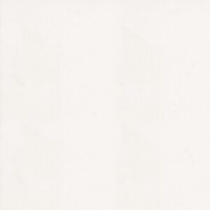 White Zeus quartz countertop color