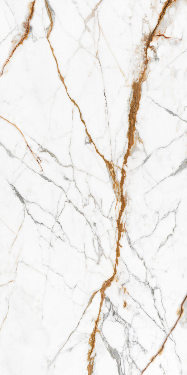 Kale porcelain — Golden Hour